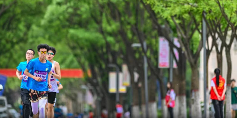 \(yn)(dng)c(din)ȼഺ֮𣬓\(yn)(dng)ഺ