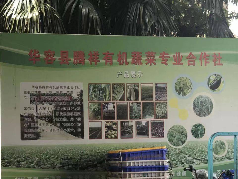 a(chn)I(y)D(zhun)ʹٰl(f)չfS