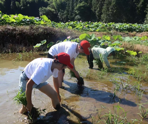 g݄ `ЄڄӾϽWl`Rִr