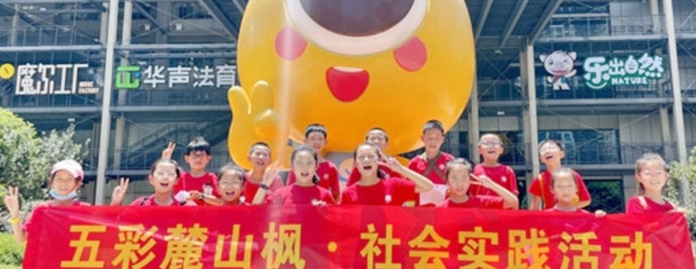 L(zhng)ɳ´ɽ(gu)H(sh)(yn)СW(xu)_չ(hu)(sh)`(dng)