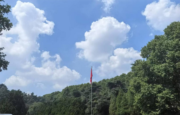 o껨һ smtɫ񡪡ϾС껨н𡱌`С