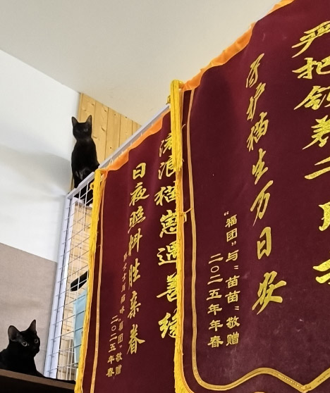 ůһֻС؈硪ArIWW؈`Y