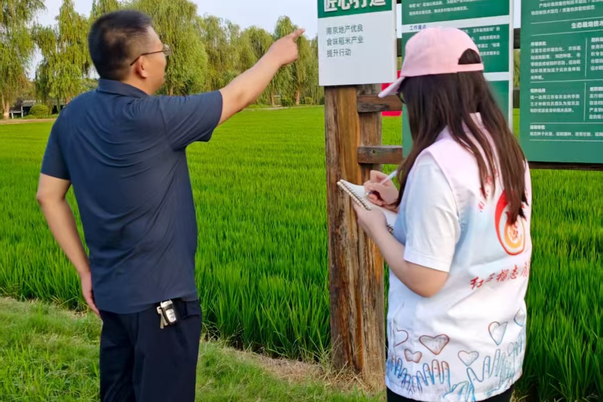 ϾW̩݌WԺtʯ־Ը꠸Ͼˮʾ Ԍ`FY֮