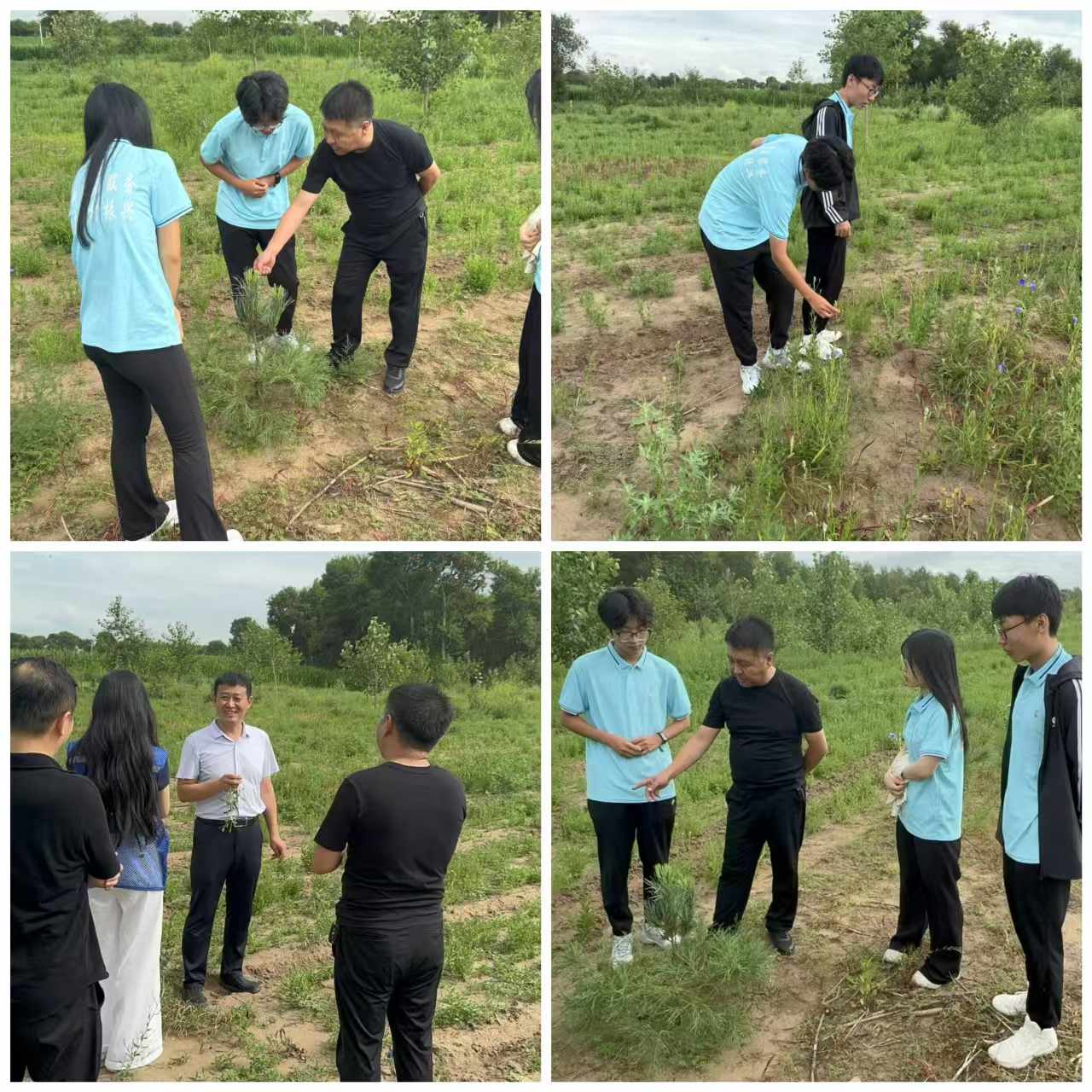 |֘I(y)W̩h_չ l(xing) ` ½(jng)c˼ںϰl(f)չ