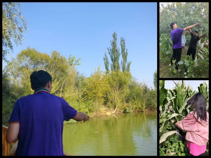 (sh)`Y(ji)Tի@M(mn)M(mn)